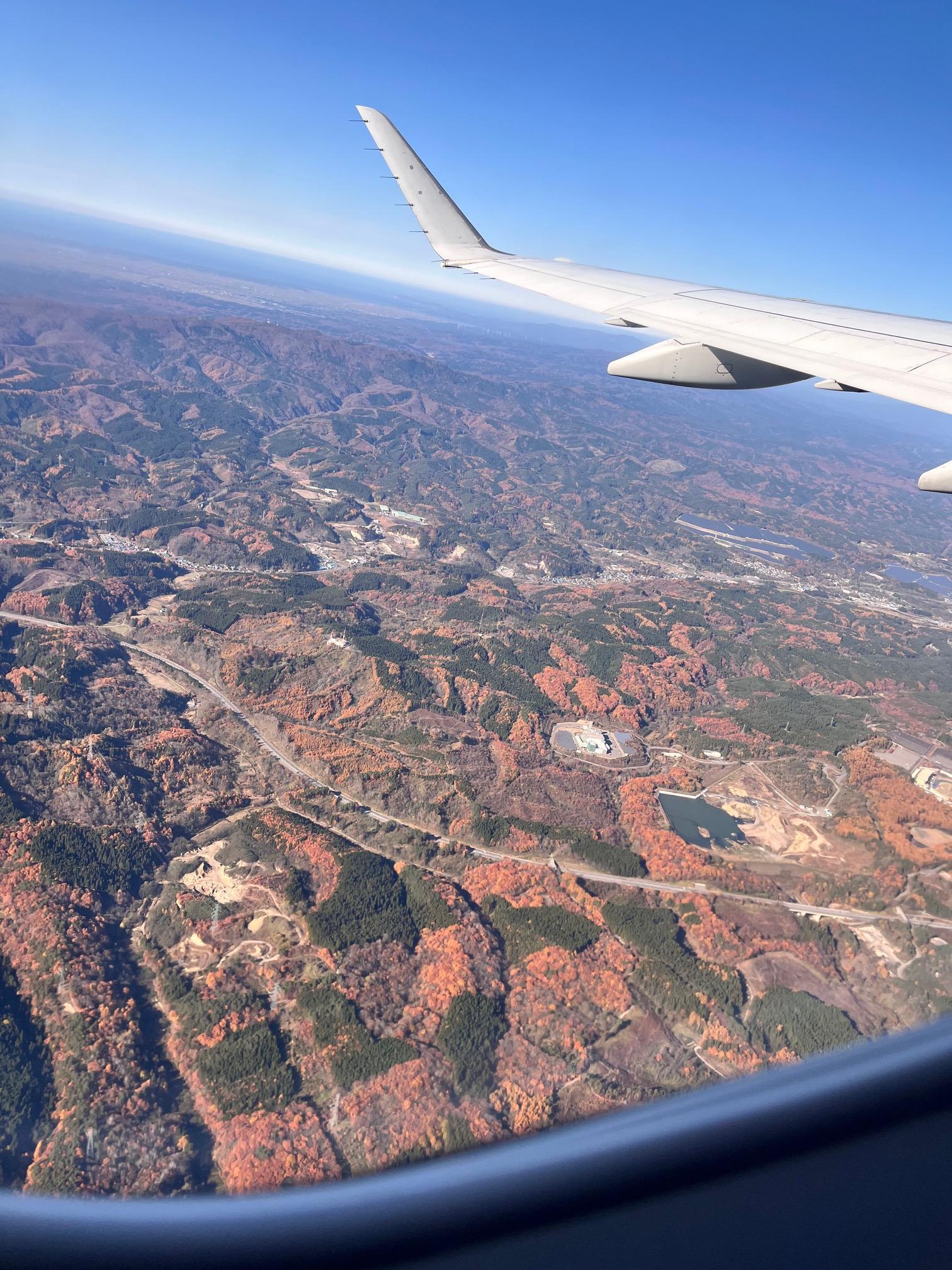 飛行機からの紅葉.jpg