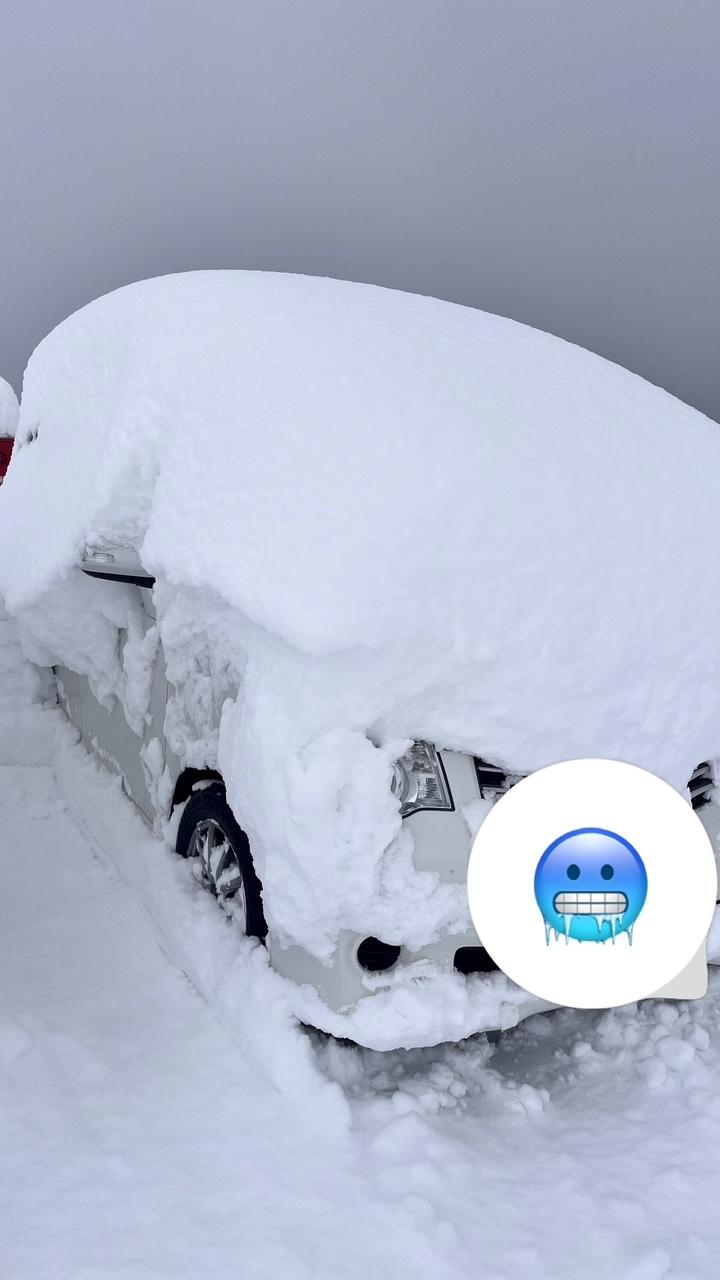250213車が雪に埋もれる（山口帰り）.JPG