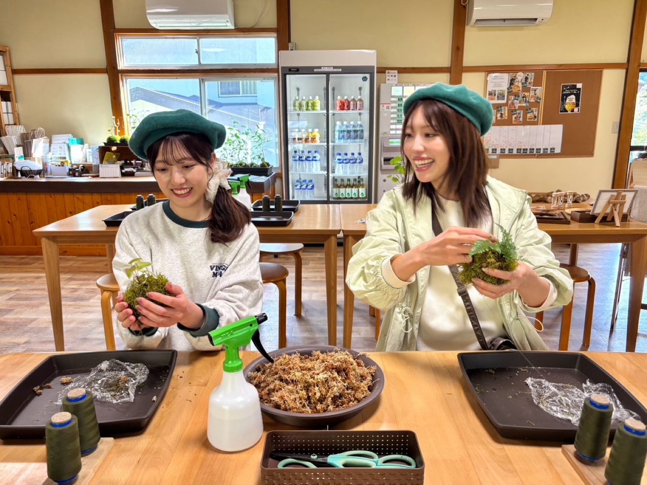 こけだま