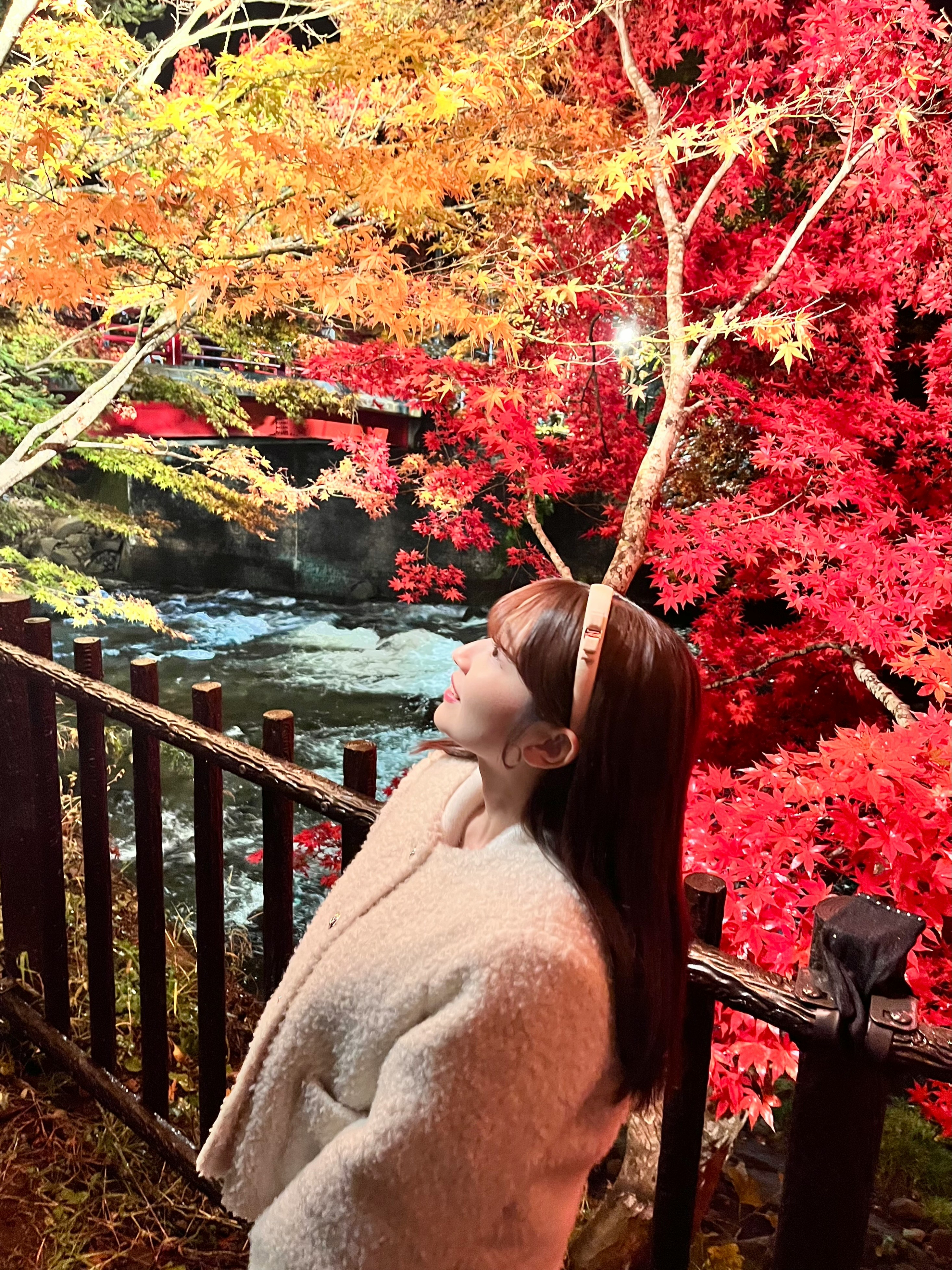 中野もみじ山１