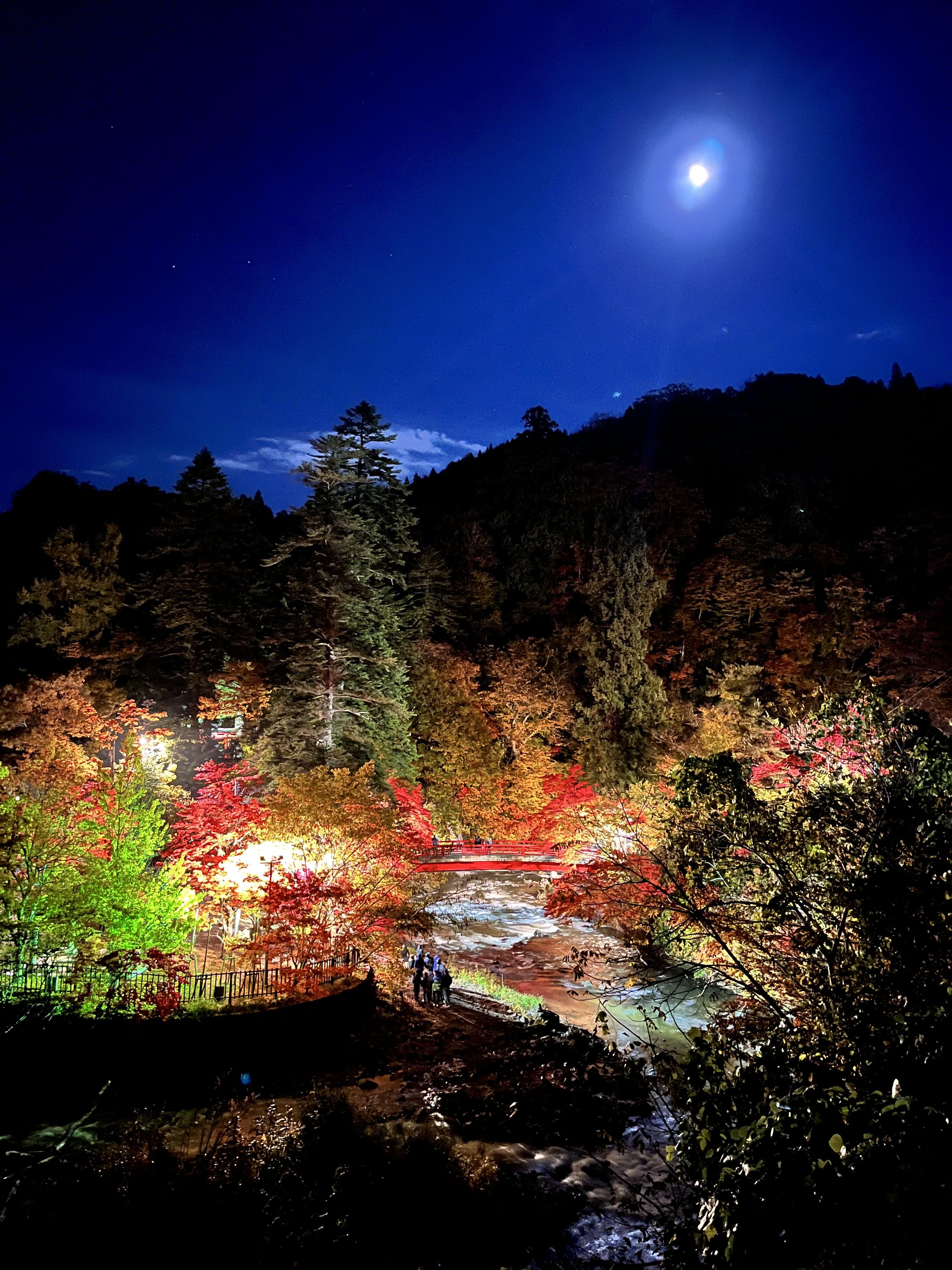 中野もみじ山２