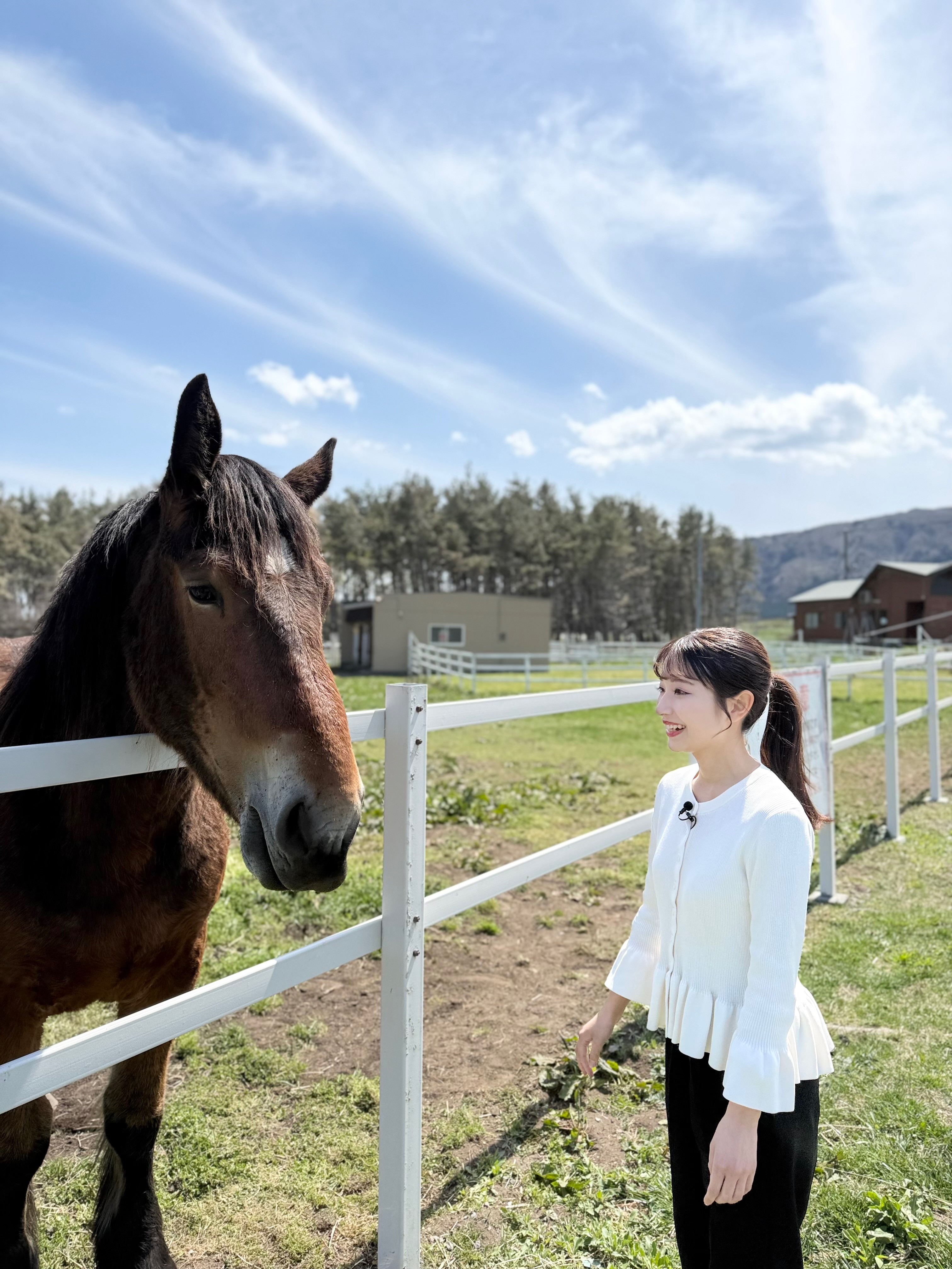 寒立馬