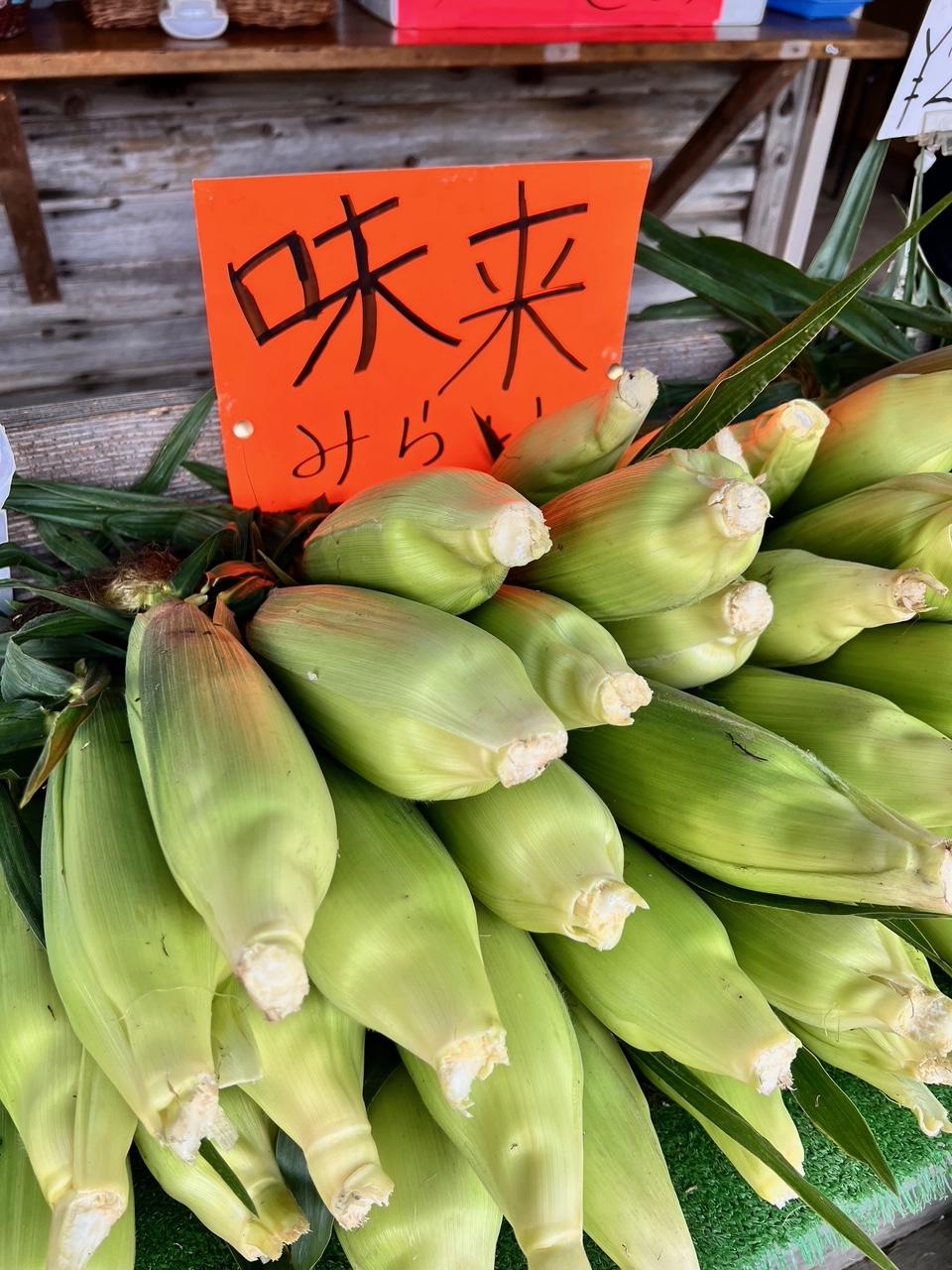 嶽きみ 味来