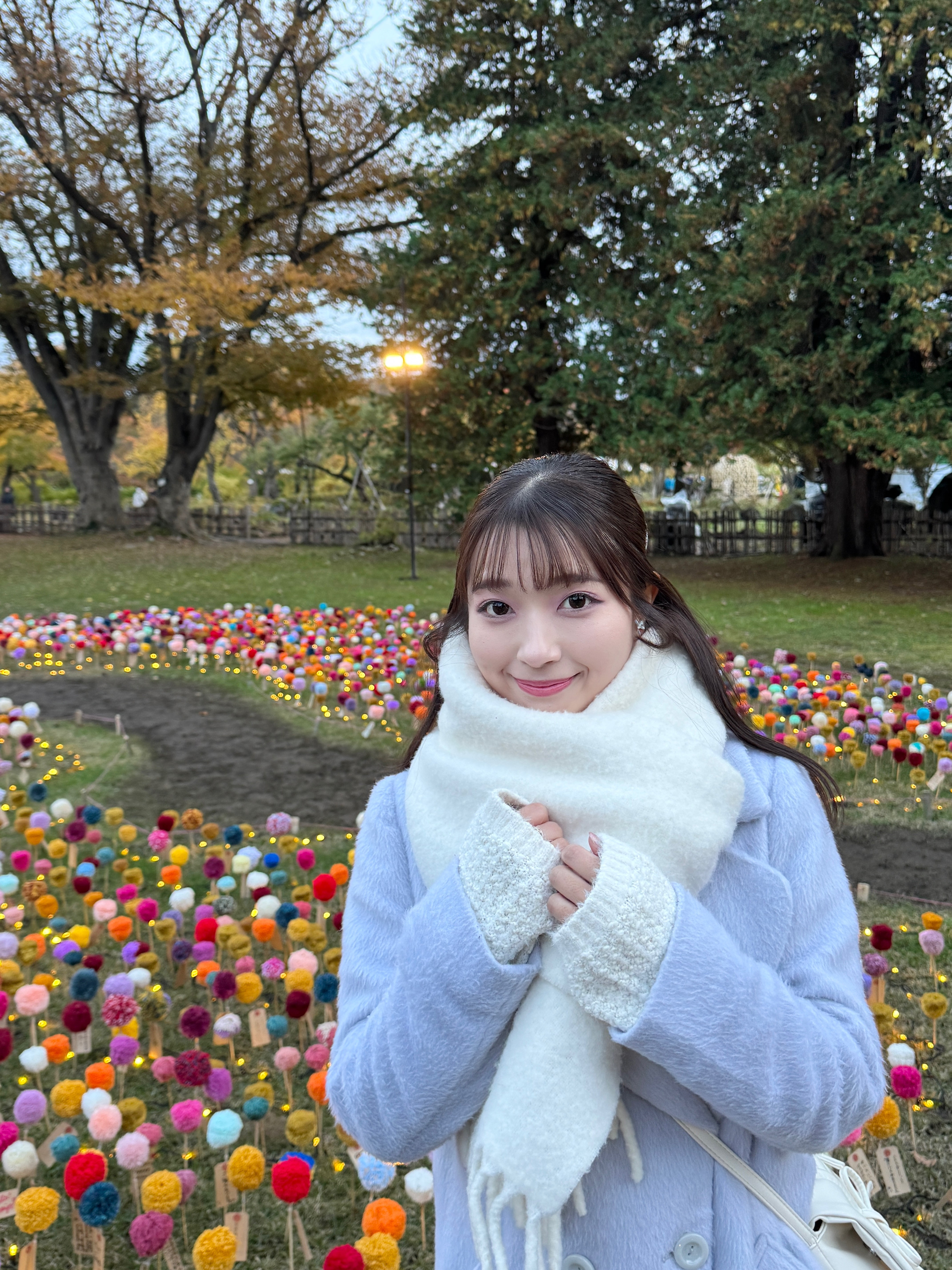 弘前城菊ともみじまつり１