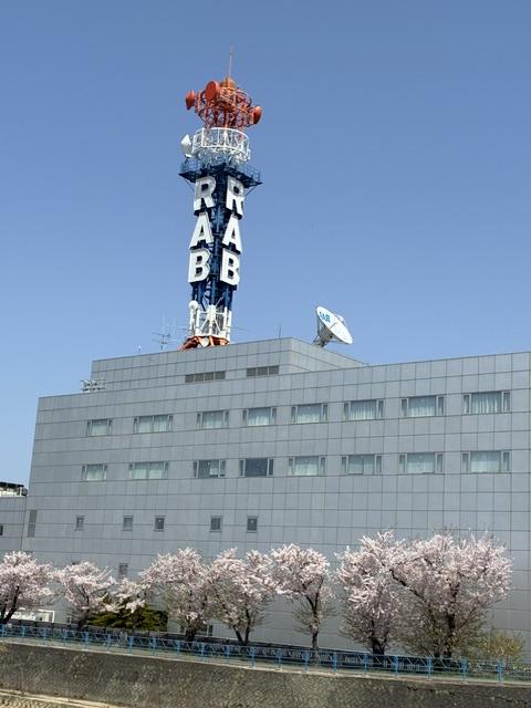 2026本社と桜