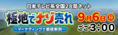 「極地でナゾ売れ～マーケティングで徹底解剖～」